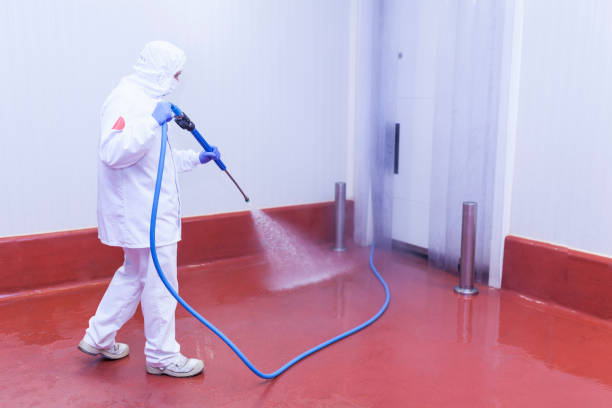 Best Graffiti Removal  in Glen Rock, NJ